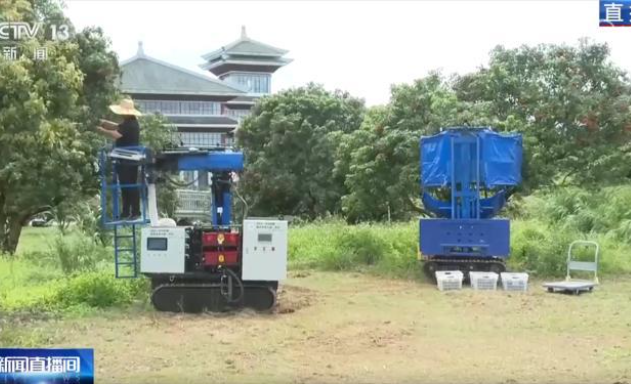 科技助力特色产业耕出好景“智” “小”荔枝串起乡村振兴“大文章”